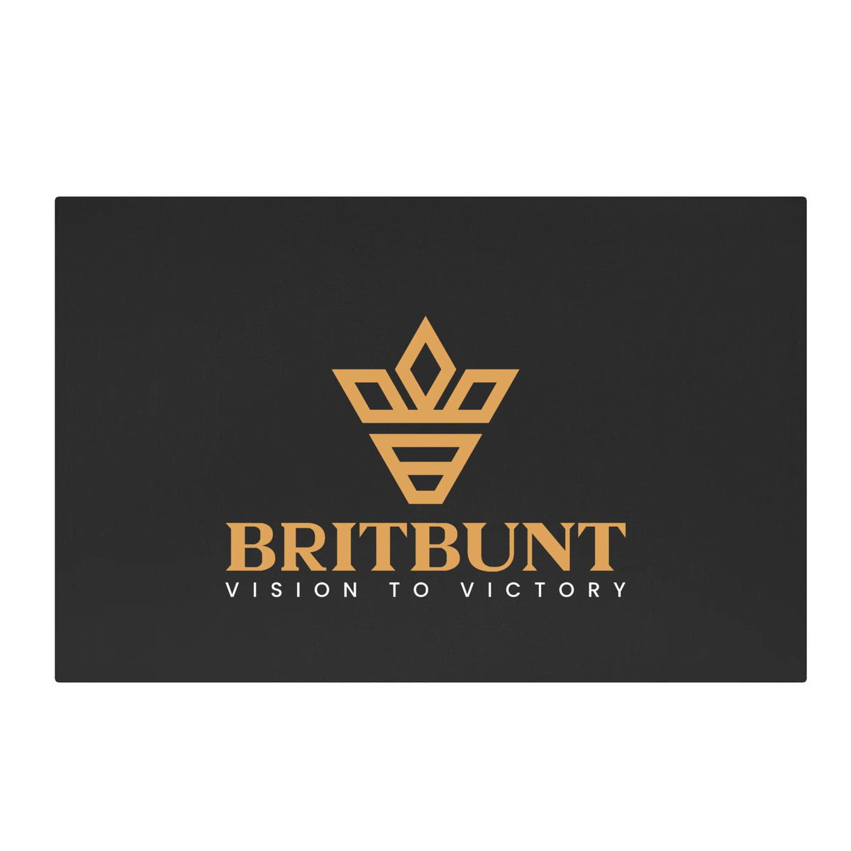 Lightweight Low Top PU Mesh Skateboard Shoes