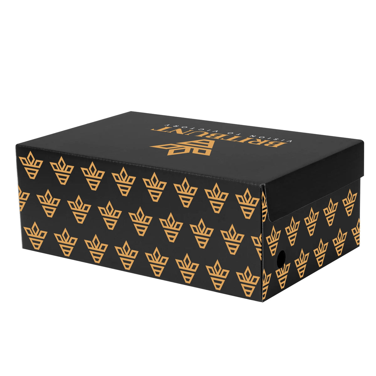 Lightweight Low Top PU Mesh Skateboard Shoes