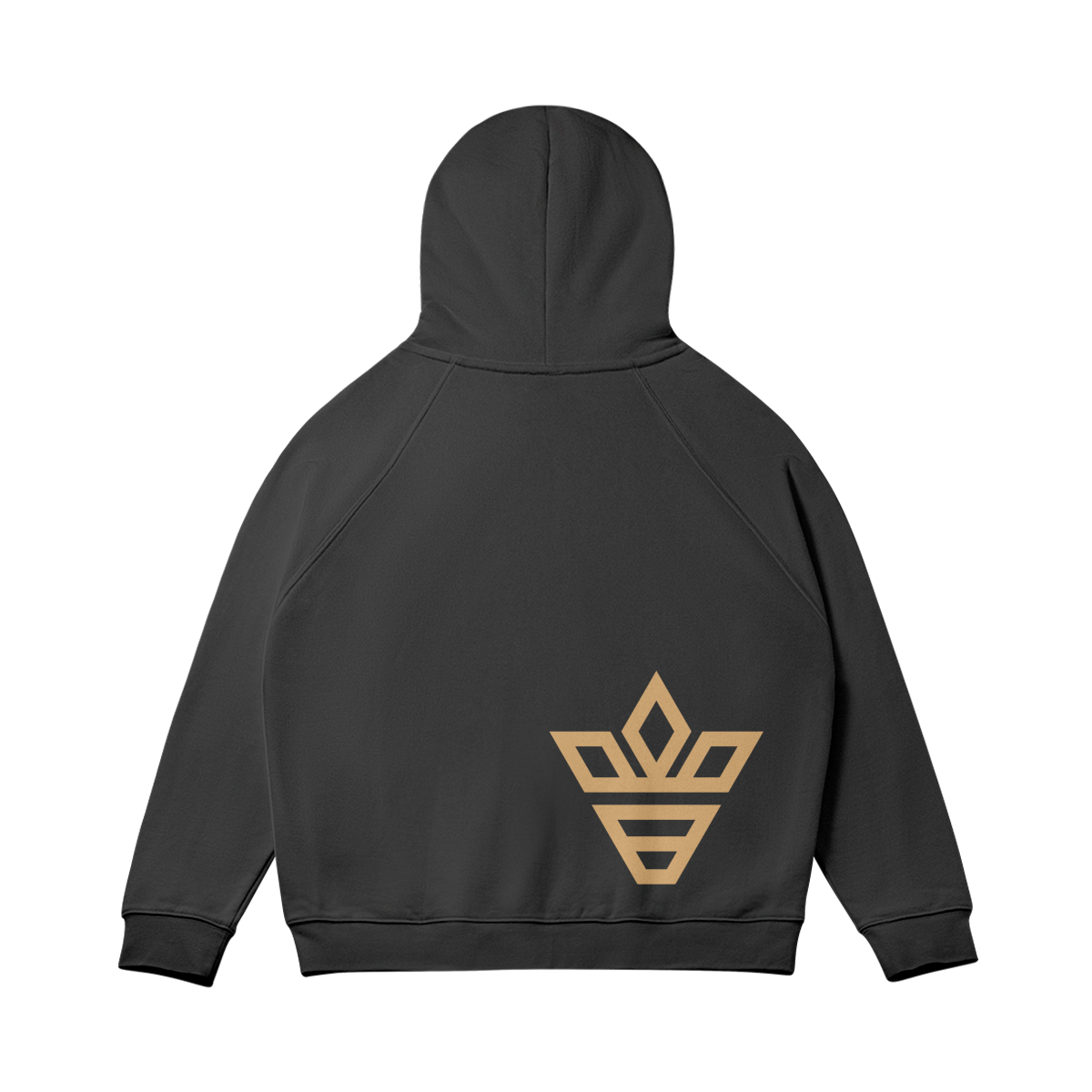 BB logo Z[pper hoodie